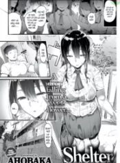 truyen-shelter.jpg