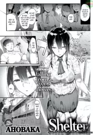 truyen-shelter.jpg