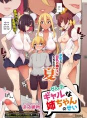 truyen-zenbu-gal-na-nee-chan-no-sei.jpg